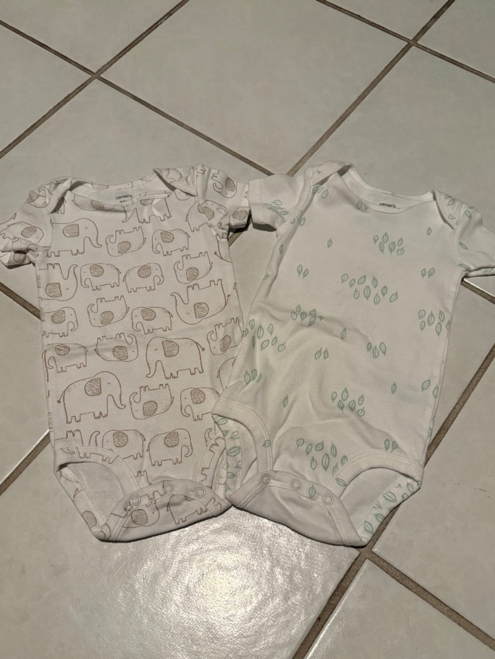 Pair of Carters Onesies